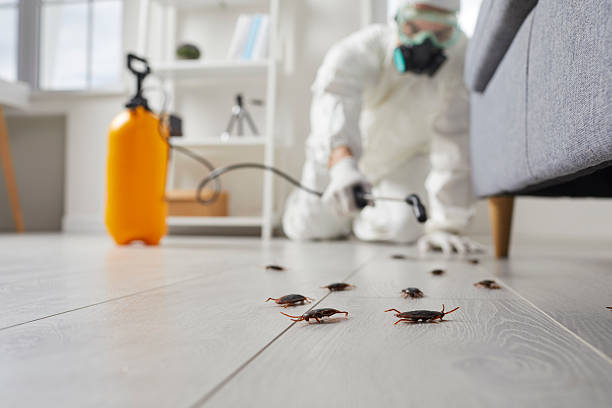 Trusted Fumigation Services service in Pawcatuck, CT - Nex Pest Control