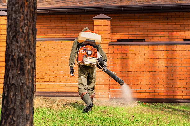 Trusted Termite Control service in Pawcatuck, CT - Nex Pest Control